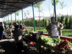 green market_aleksandrovo_7
